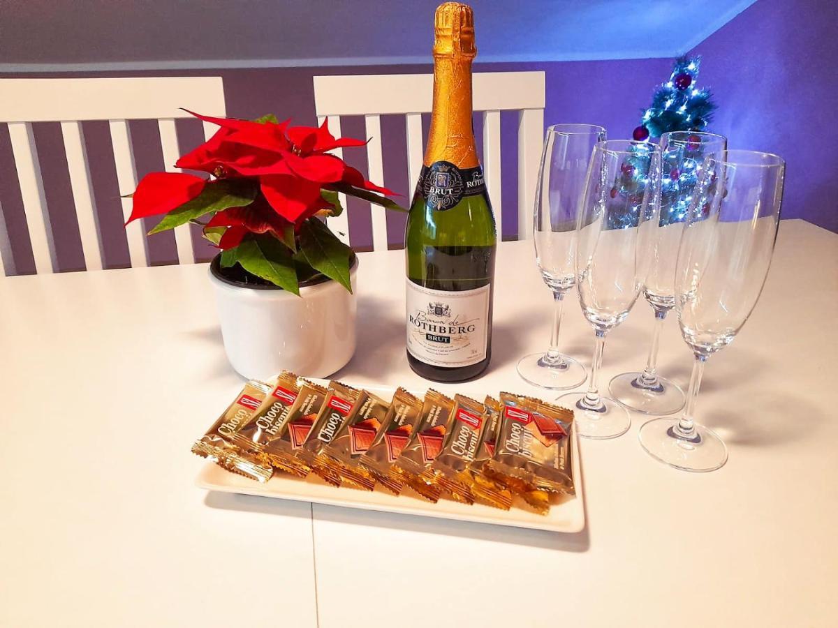 Japanski Vrt, Centar Apartment Vrnjacka Banja