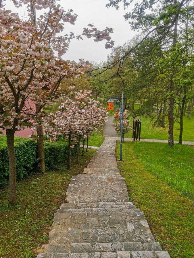 Japanski Vrt, Centar Apartment